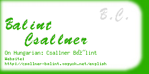 balint csallner business card